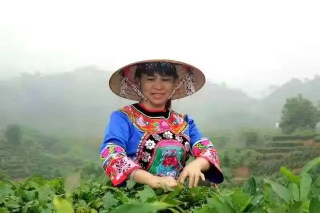 【梧州工匠】劉錦芳：鉆研和創(chuàng)新，帶領(lǐng)鄉(xiāng)親發(fā)家致富
