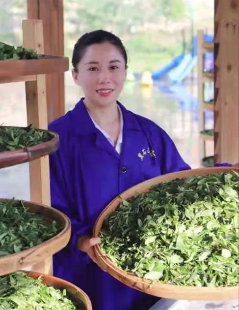 【梧州工匠】石濡菲：擇一茶，修一技，終一生