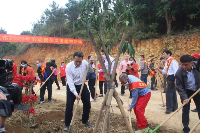 植樹造林，這群楷模這樣做