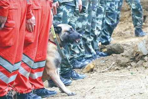 消防、武警、摩托車運輸隊等多方力量聯(lián)合搜救｜東航客機墜毀事故救援現(xiàn)場直擊