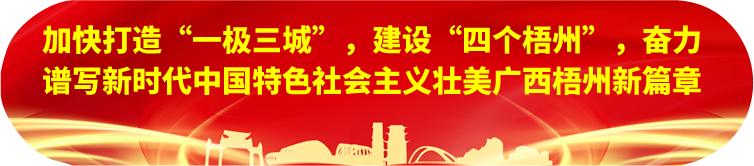 劉寧在梧州蒼梧縣蒙山縣岑溪市調研時強調：完整準確全面貫徹新發(fā)展理念，發(fā)揮優(yōu)勢突出特色推動縣域經濟高質量發(fā)展