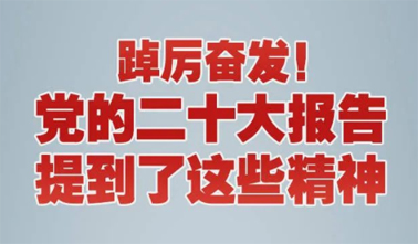 【黨的二十大】踔厲奮發(fā)！黨的二十大報(bào)告提到了這些精神