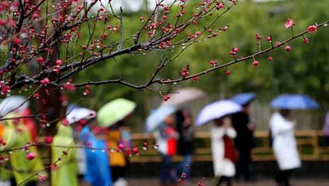 今日雨水！別忘了咱的老講究！
